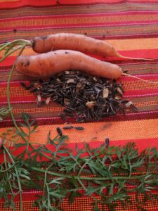 Carrots and sunflower seeds from the garden